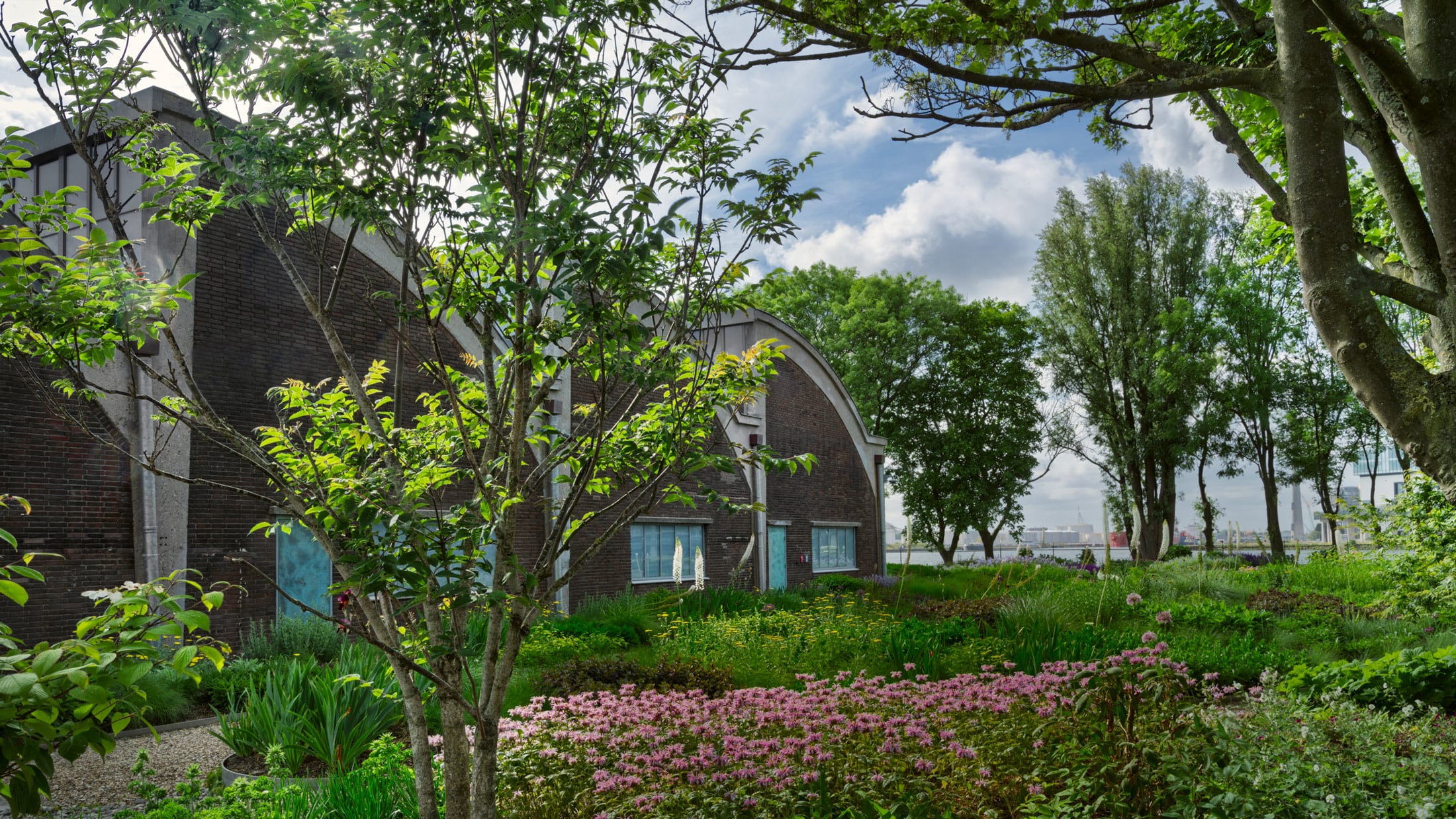 ZAMU Amsterdam garden design by Piet Oudolf: colorful wildflowers, perennials and grasses, naturalistic garden, industrial buildings, blue sky with clouds
