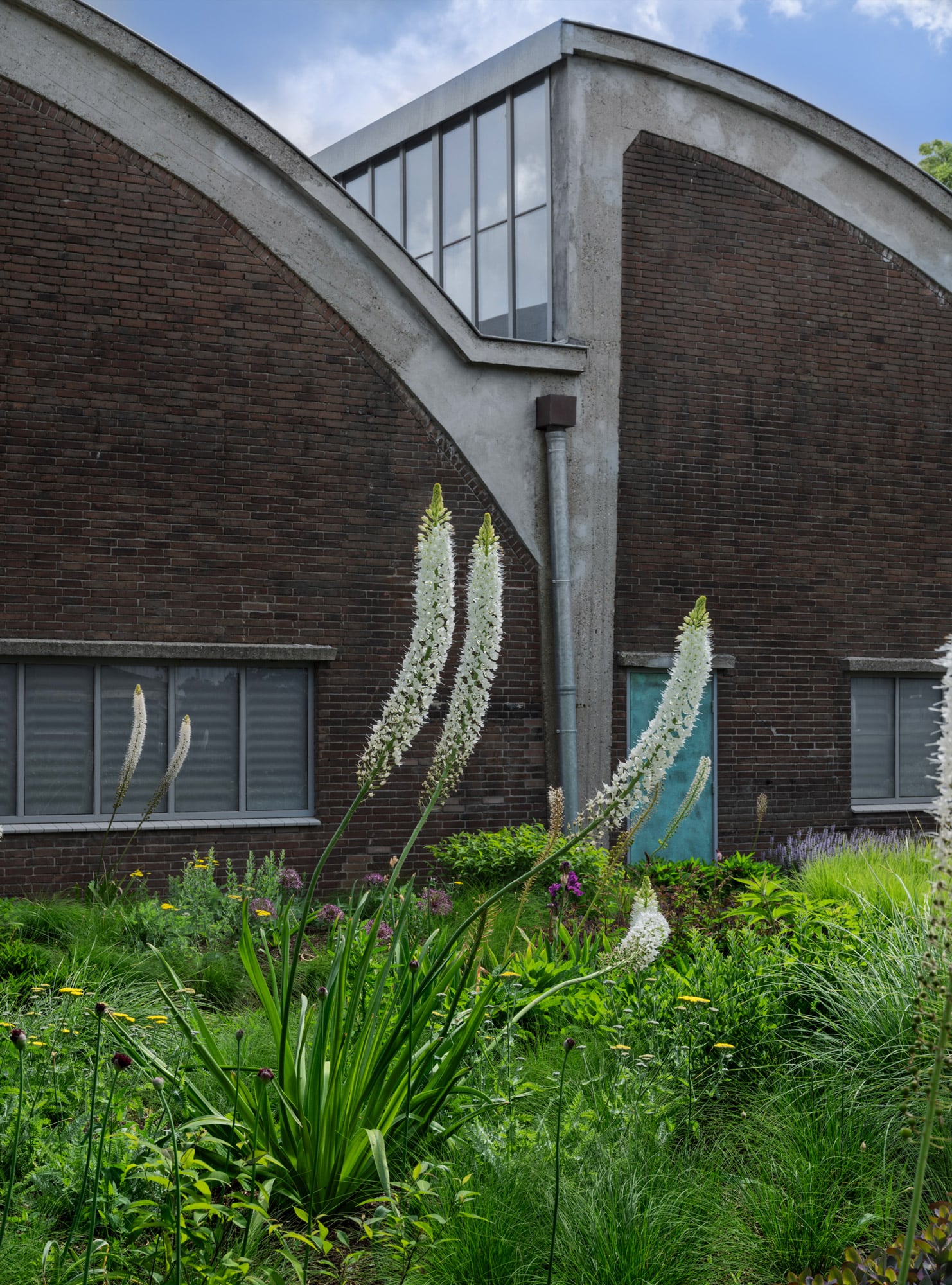 ZAMU Amsterdam garden design by Piet Oudolf: colorful wildflowers, perennials and grasses, naturalistic garden, industrial buildings, blue sky with clouds